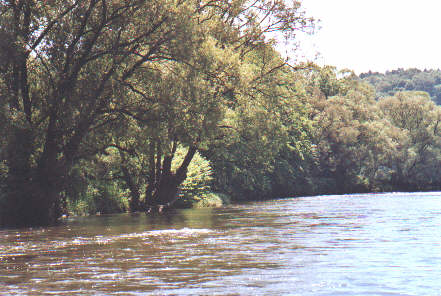 Pfingsten 04