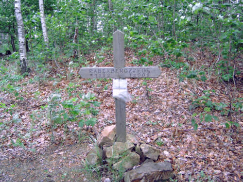Rabenbergziege