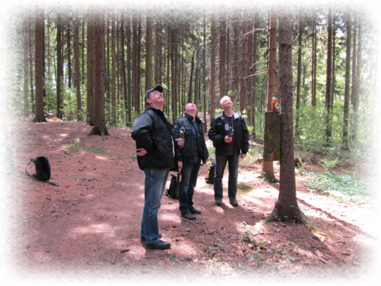 im Schwarzholz
